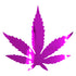 Custom-Bigs 2" & 5" - MARIJUANA LEAF  Fuchsia