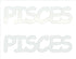 Custom-Buzz Word - PISCES White